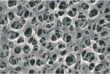 Cellulose Acetate Type Membrane Filter