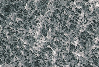 Hydrophilic PTFE Membrane Filter (PTFE Type)