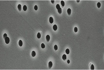 Polycarbonate Membrane Filter (Polycarbonate Type)